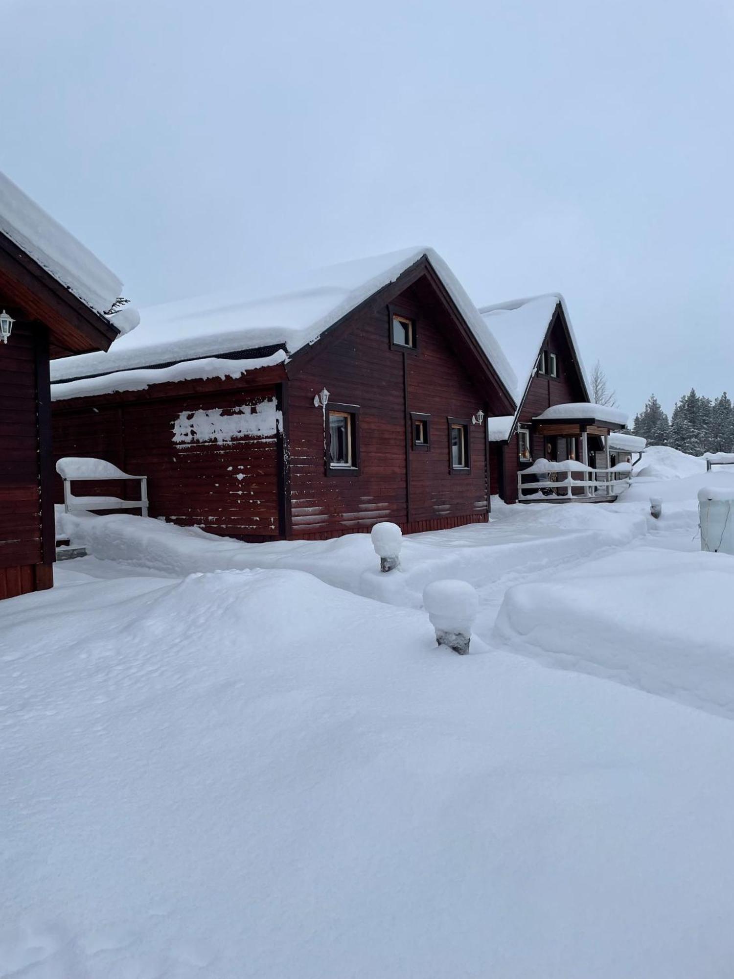 Skogen-Lodge Koskullskulle Eksteriør billede